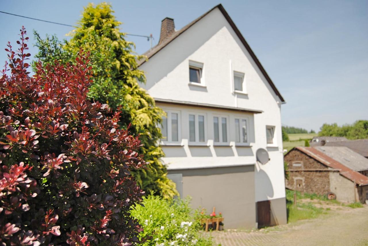 בוס Stilvolles Eifelhaus Am Nuerburgring Mit Eigenem Garten מראה חיצוני תמונה